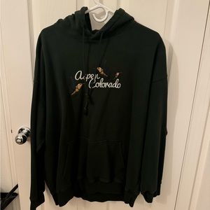 Brandy Melville Dark Green Aspen Hoodie
